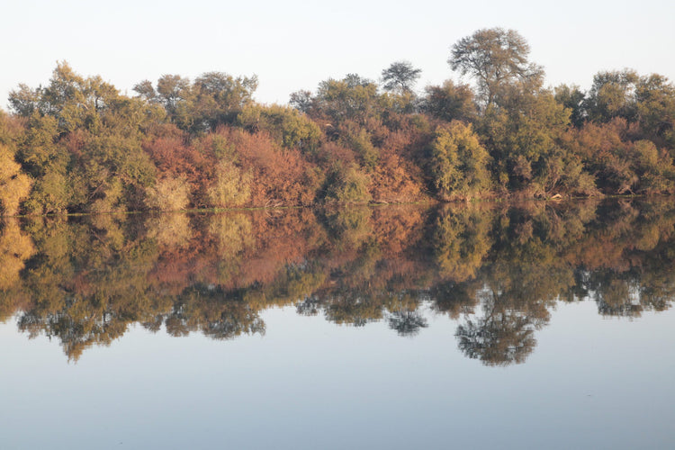 River View Lodge (Renovaal, Vaal River)