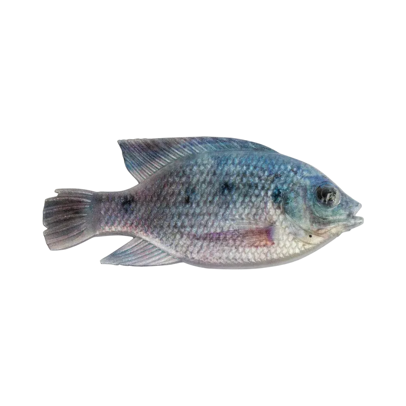 Load image into Gallery viewer, Cullem Pro Series - Natural Kurper 4"

