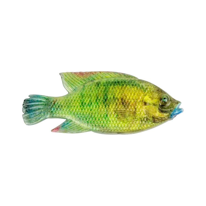 Load image into Gallery viewer, Cullem Pro Series - Natural Kurper 4"
