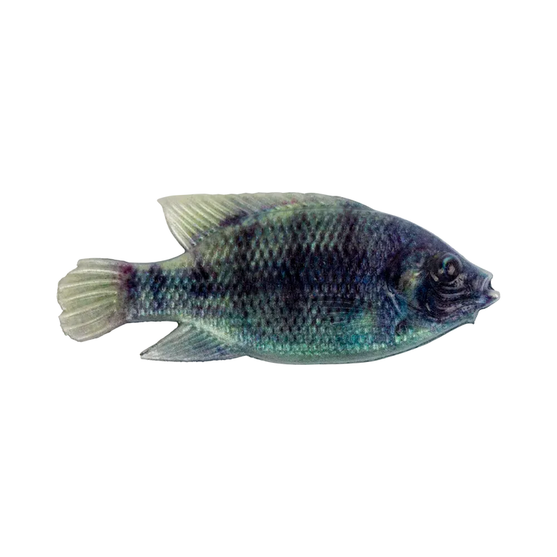 Load image into Gallery viewer, Cullem Pro Series - Natural Kurper 4"
