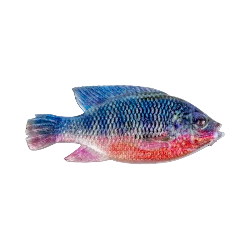 Load image into Gallery viewer, Cullem Pro Series - Natural Kurper 4"

