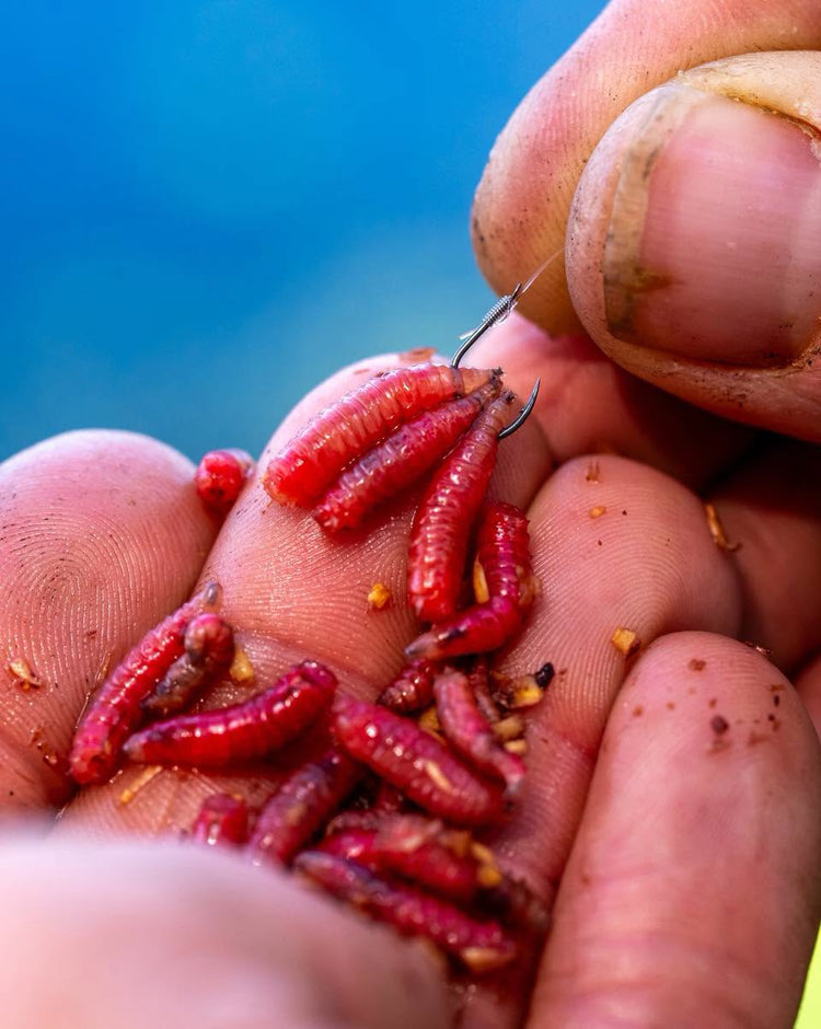 Feeder Fishing Equipment